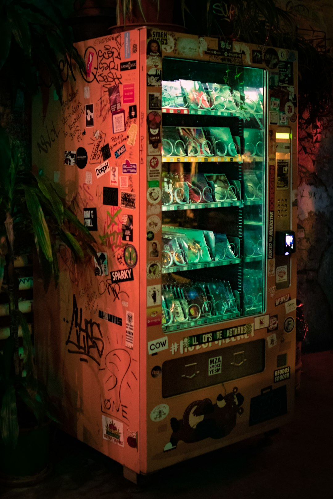 Budapest Ruin Bars
